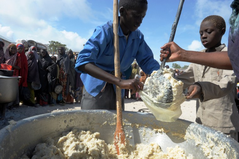 Image: A Somali boy receives a ration of cornmeal in Mogadishu